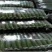 精品电商货，货量充足，代发全国各地，30公分以上
