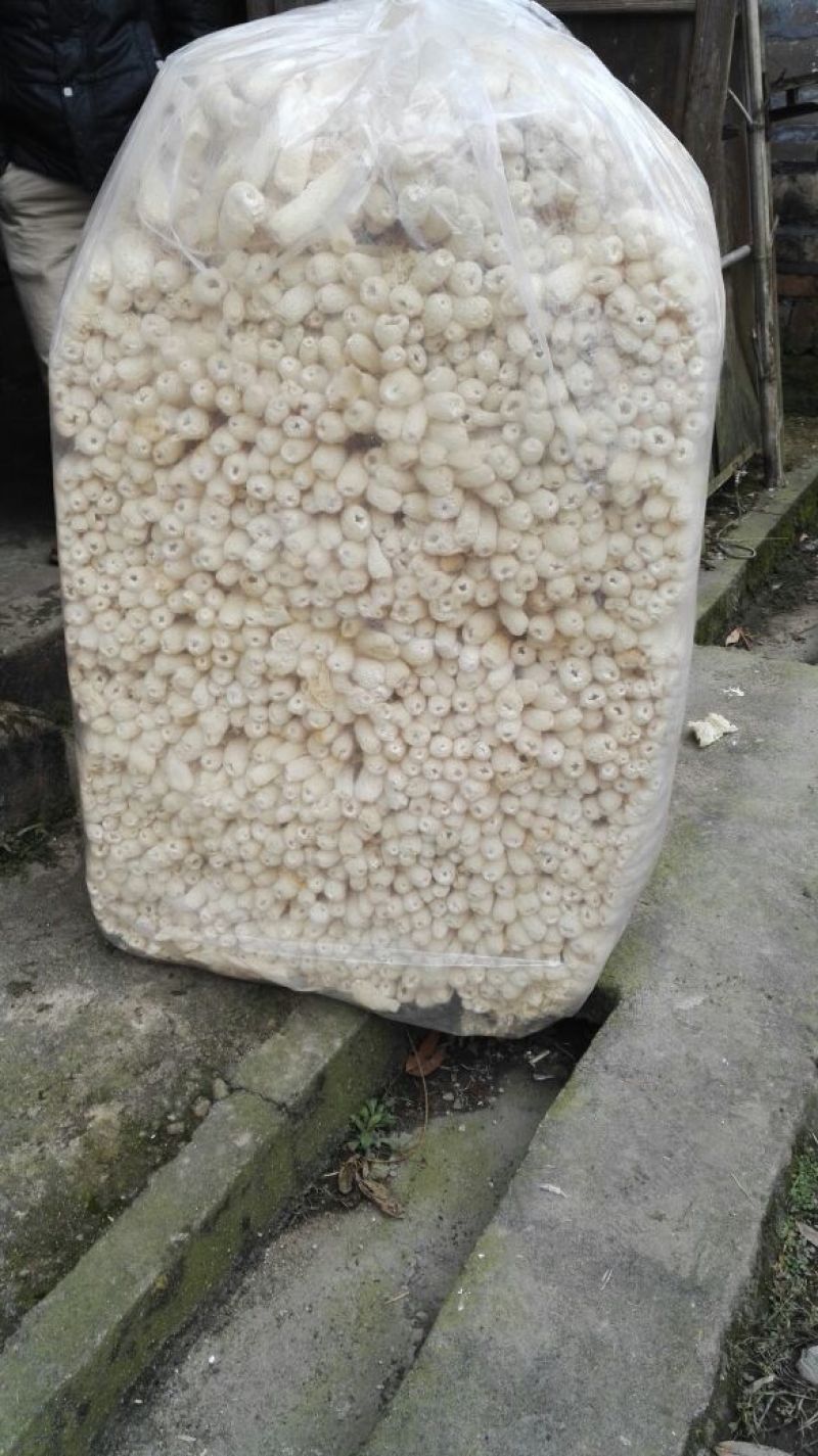 竹荪一级