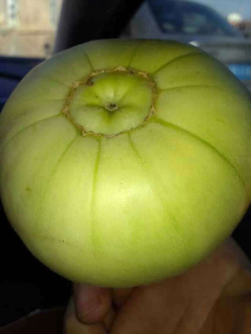 甜宝甜瓜