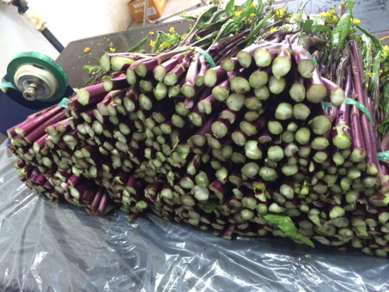 红菜苔