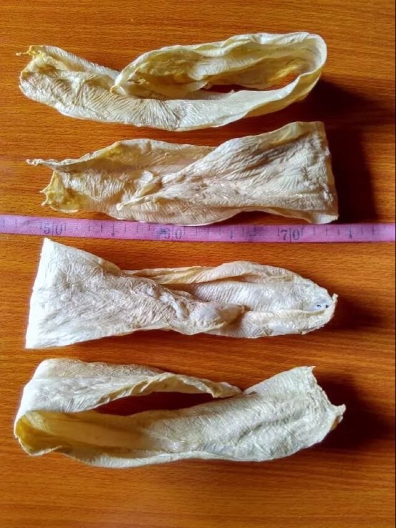 腐竹