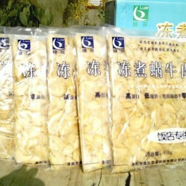 白玉蜗牛