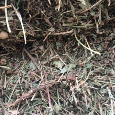 花生糠细糠