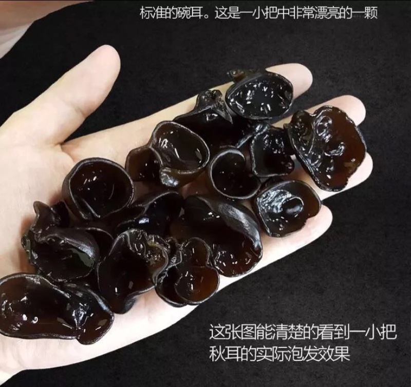 黑山秋耳