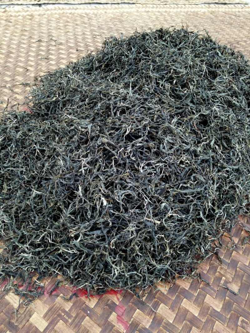 百年普洱大树茶各种检测检验合格