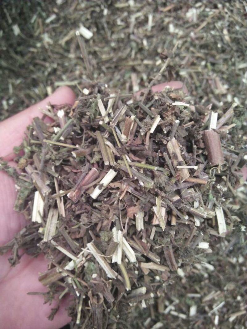 荆芥统片