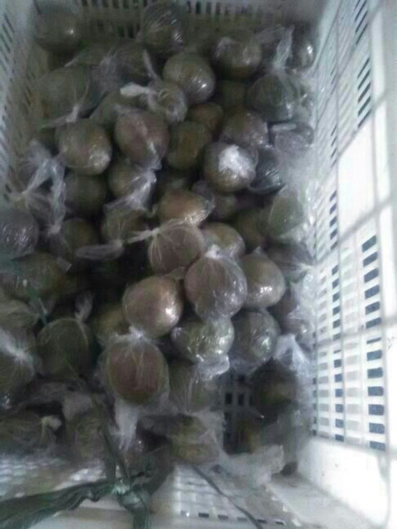 百香果