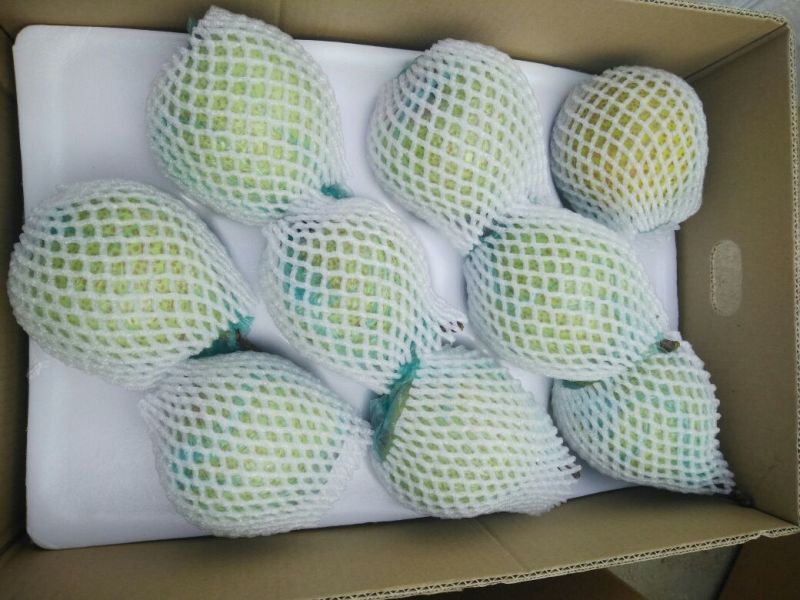 莱阳梨350~400g膜袋