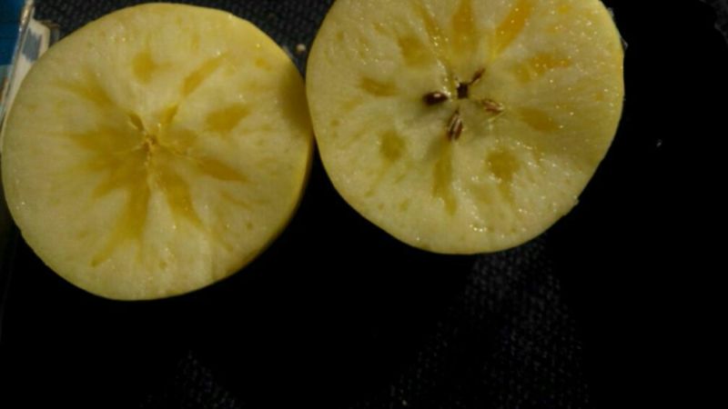 奶油富士