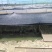 湖北养殖青蛙，基地发货，一件代发，物流直达全国各地
