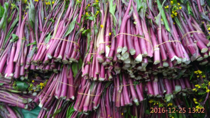 红菜苔小叶亮红～西蓝花量大苔红梗粗，可打泡沫箱