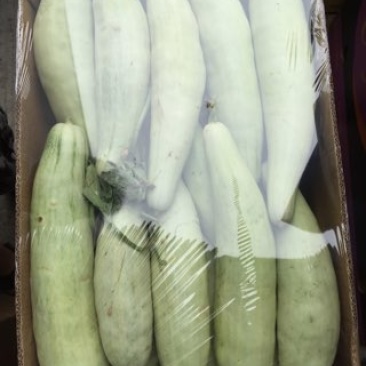 羊角脆甜瓜