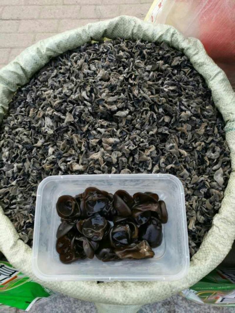 黑木耳特级