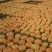 柿饼1~2两