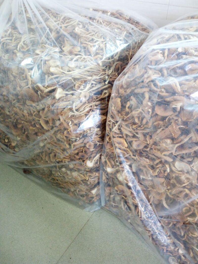 【广昌3号】茶树菇开伞无包心干货产地直销供货量充足
