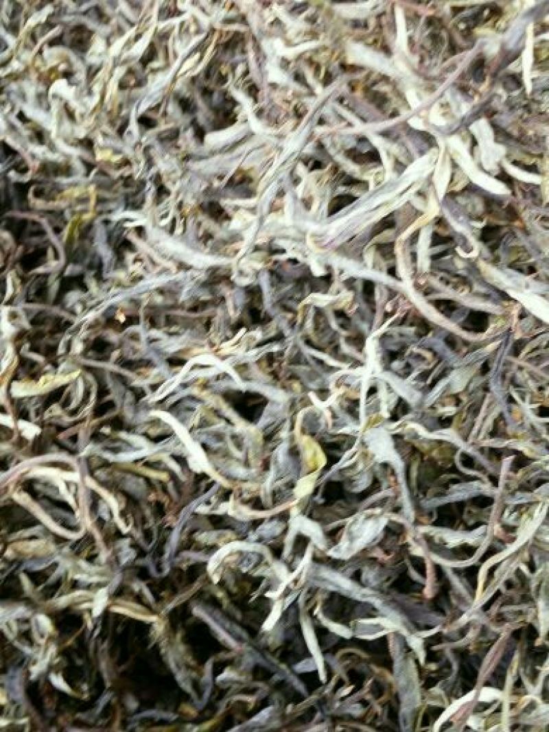 普洱茶散茶