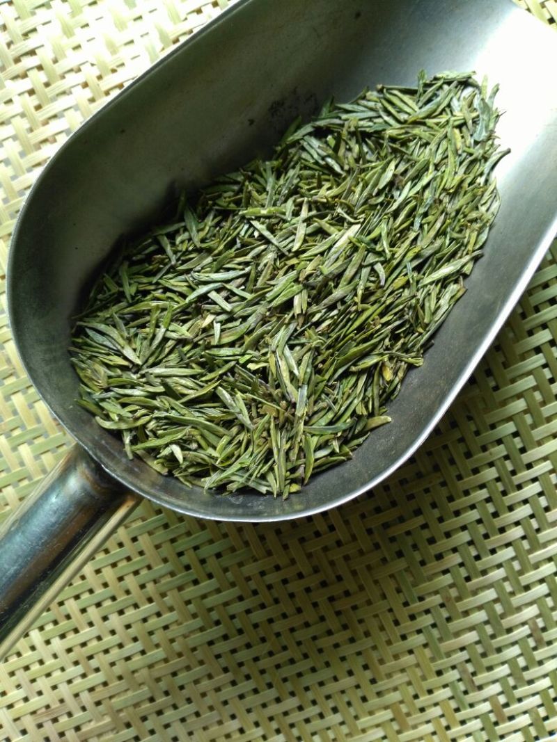 石阡苔茶特级