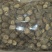 干香菇3~4cm
