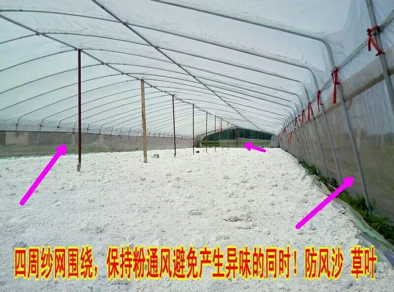 红薯淀粉