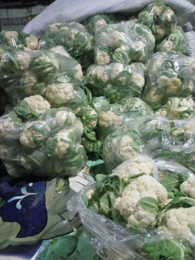 白花菜包装