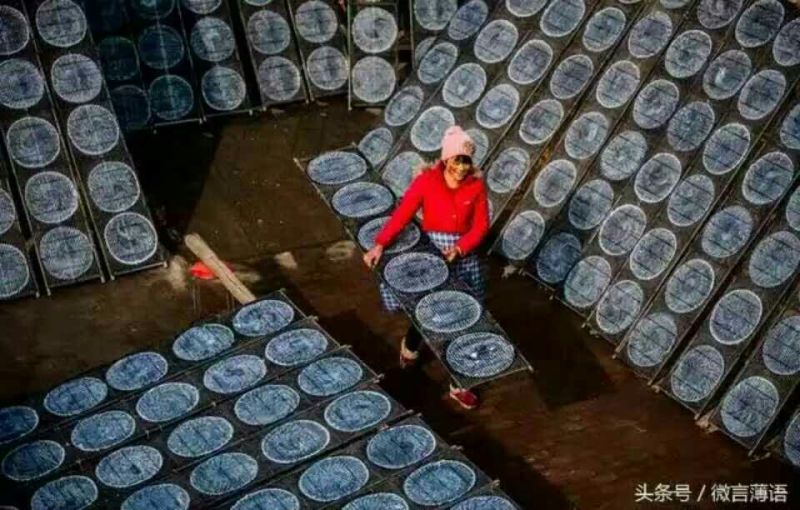 绿豆粉皮包装