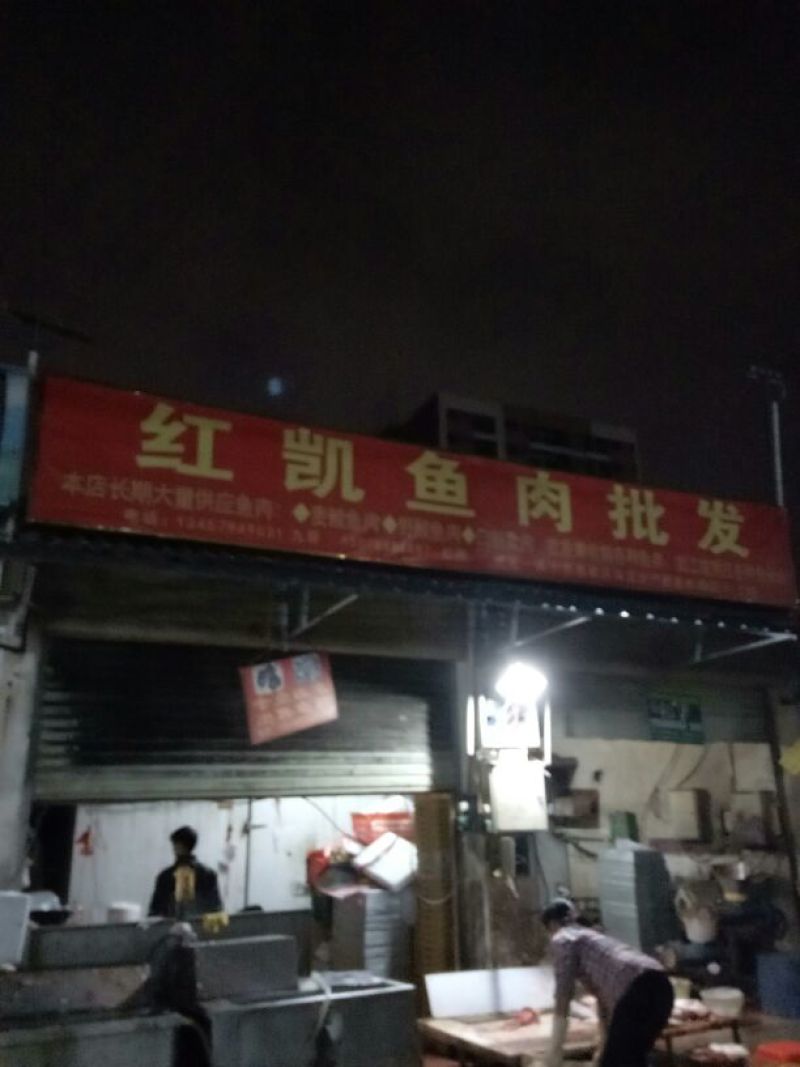 鲮鱼食用1~2公斤