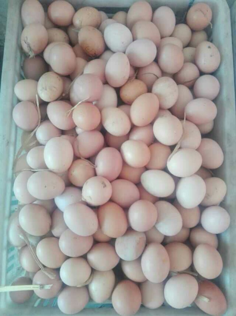 土鸡蛋食用40~50g