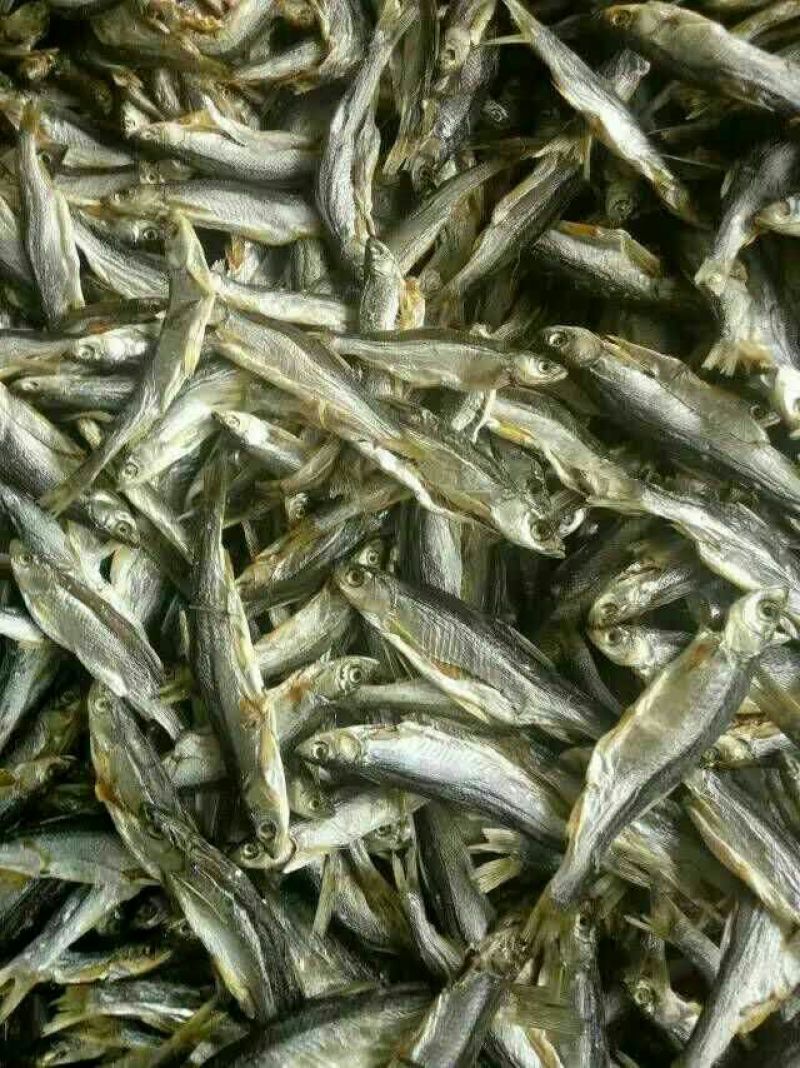 餐条鱼干
