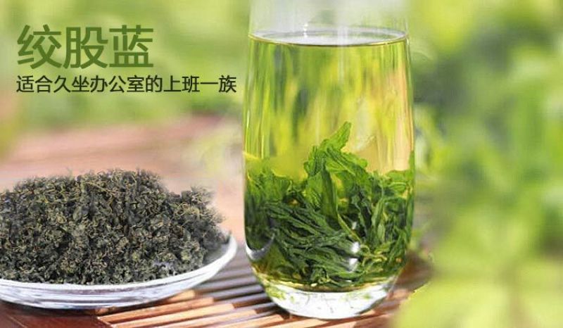 绞股蓝