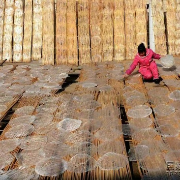 绿豆粉皮散装手工粉皮