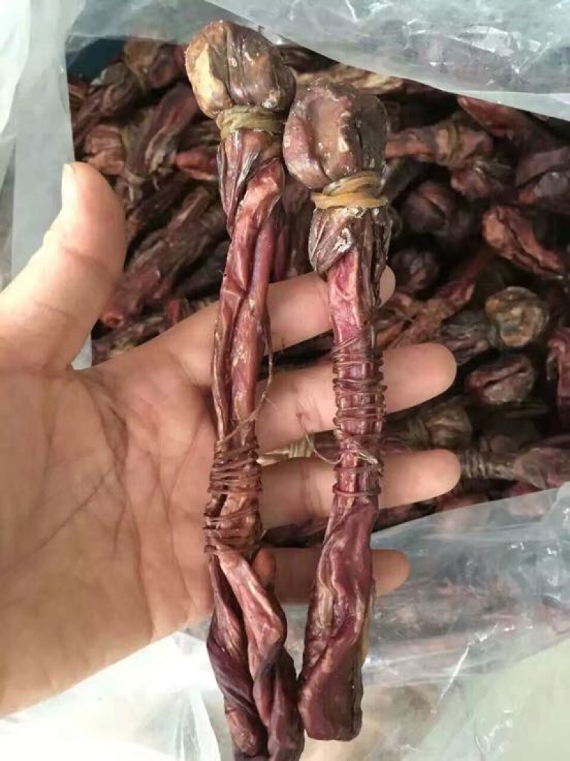狗鞭