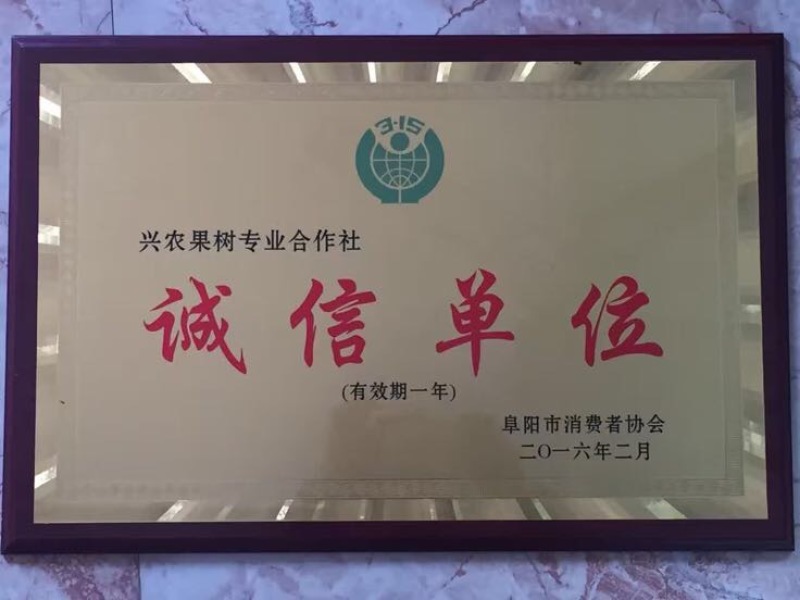 晚秋黄梨