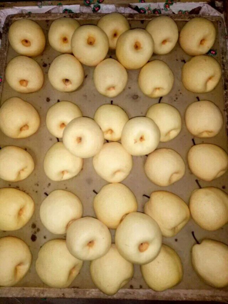 酥梨250~300g纸箱