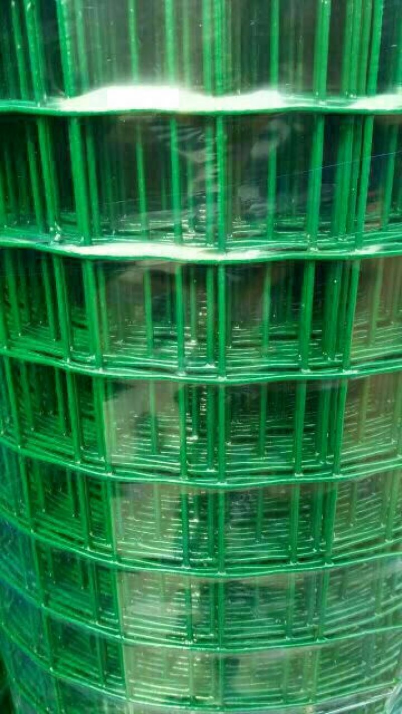 荷兰网50*50mm