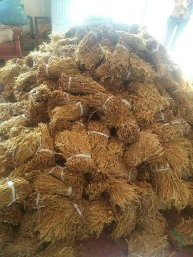 笋干广东英德产地直销麻竹笋干本地靓麻竹笋花麻竹笋苗