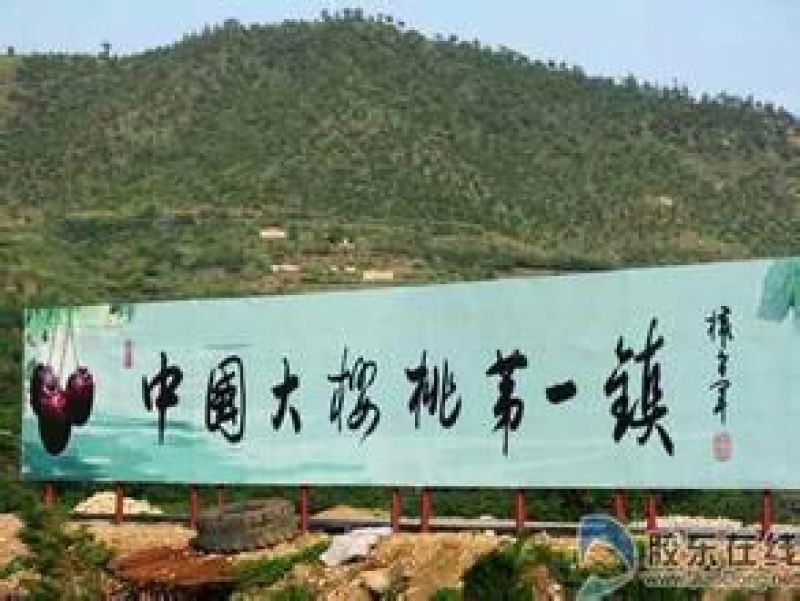 美早樱桃20mm以上