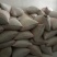 薏米散装