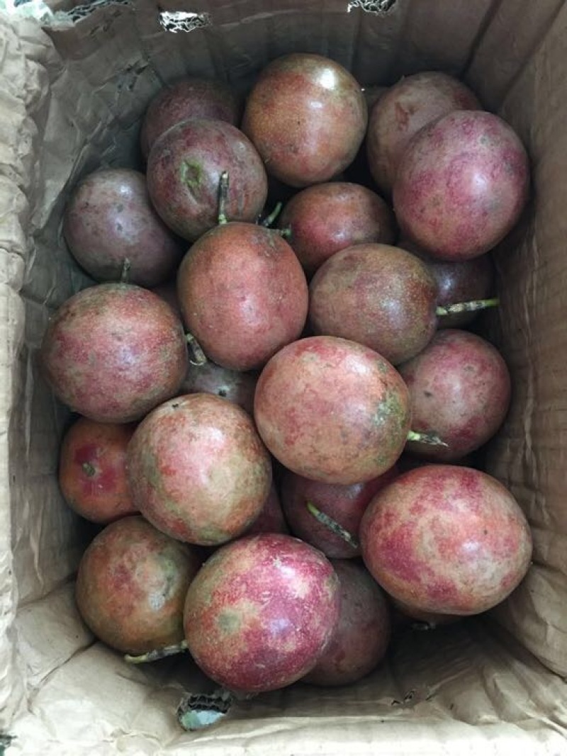 百香果