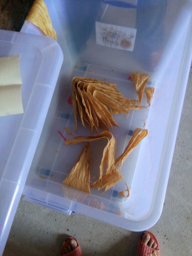 腐竹