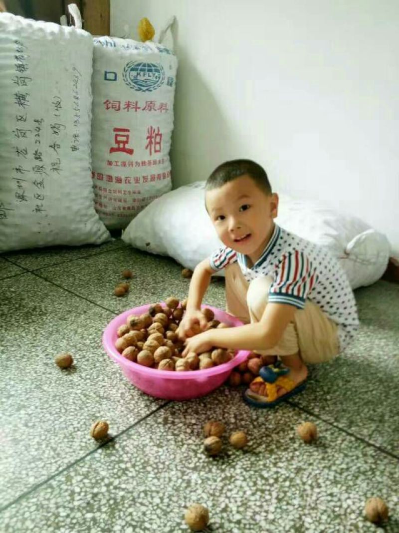 核桃去皮干