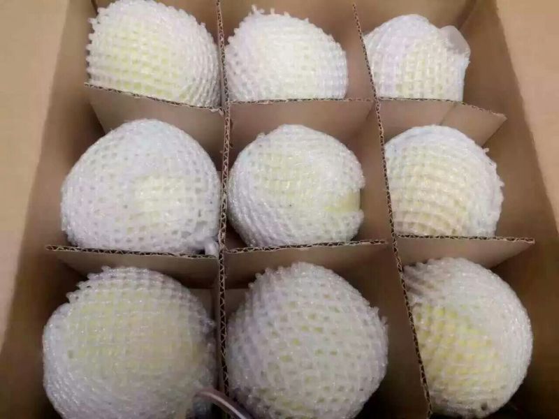 早酥梨300~350g纸袋