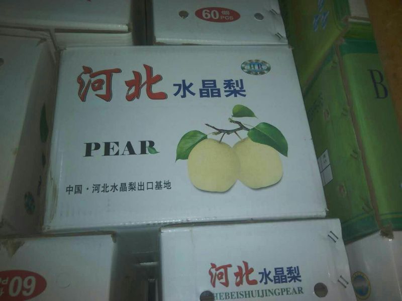 雪花梨