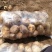尤金885土豆大量上市中