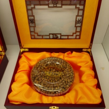 铁皮石斛盆花