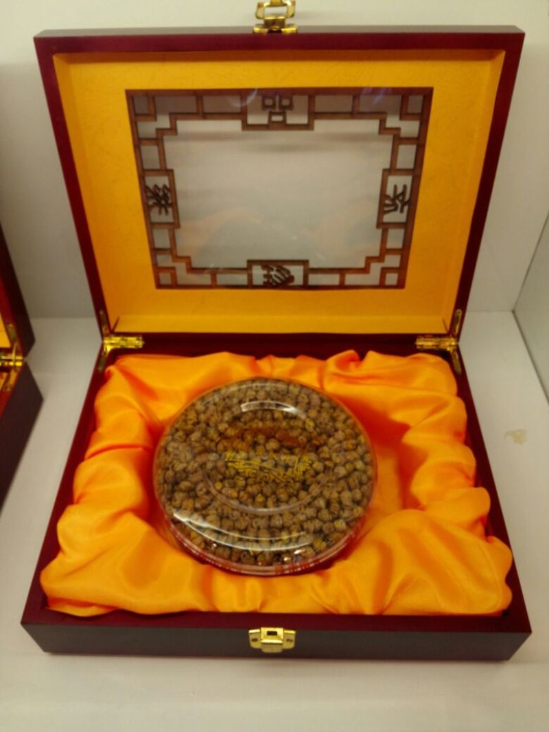 铁皮石斛盆