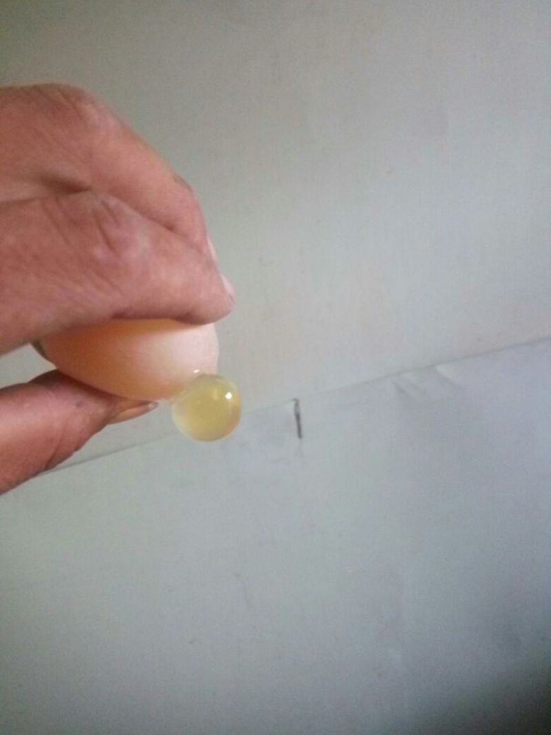 土鸡蛋食用50g以下