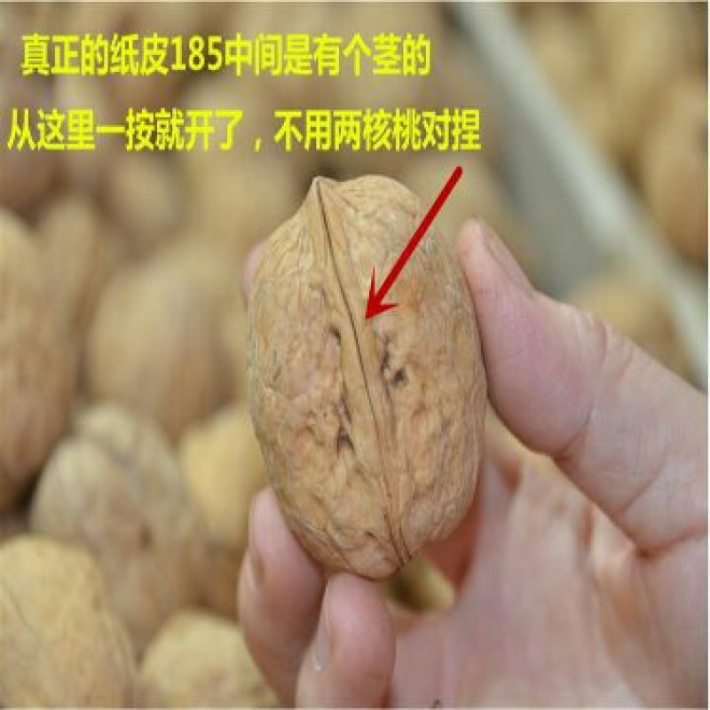 纸皮核桃去皮干