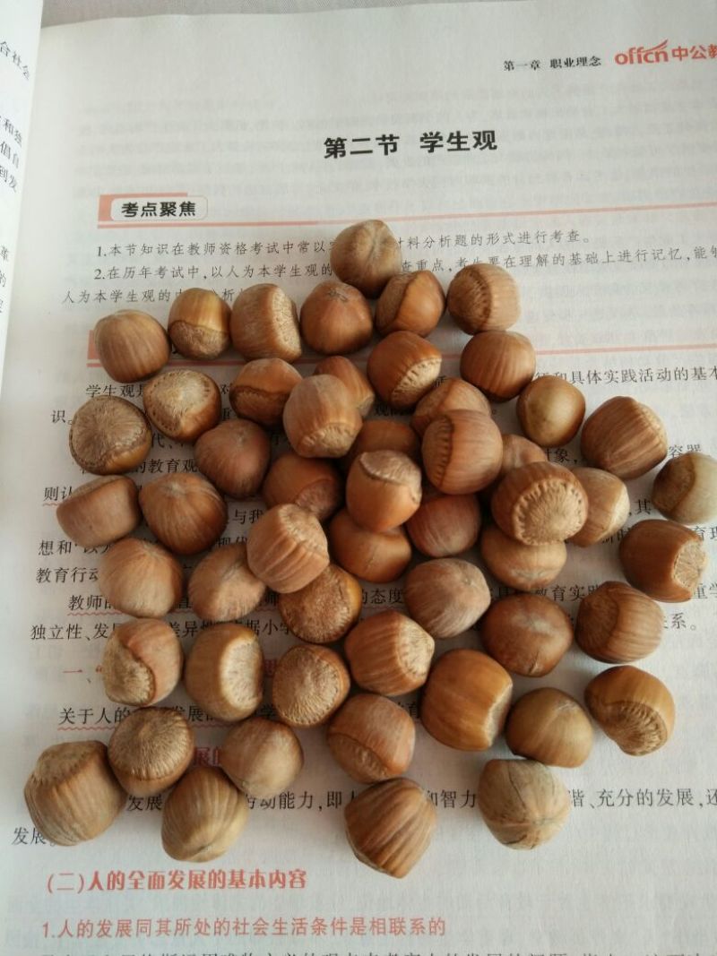 平榛特级