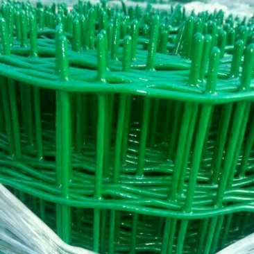 荷兰网50*50mm