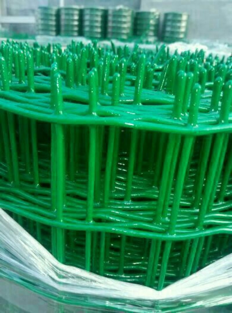荷兰网50*50mm